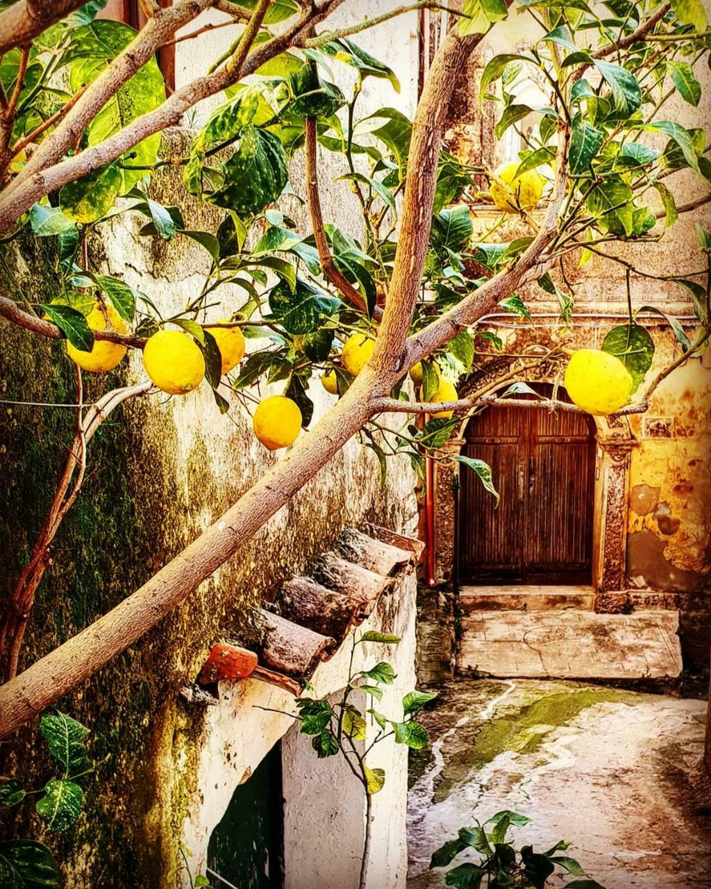 Bed and Breakfast Casa Mazzone Ciro Exterior foto